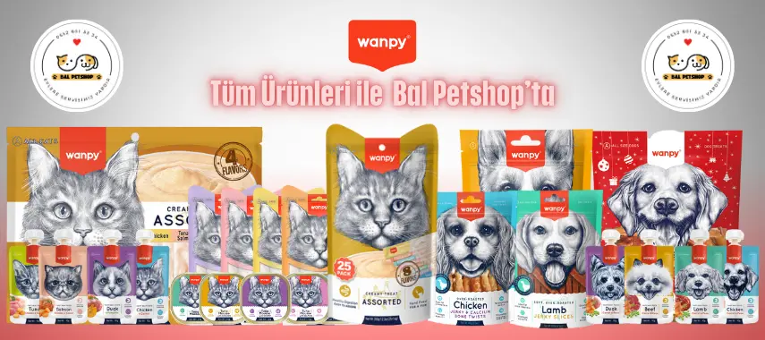 Wanpy (1)